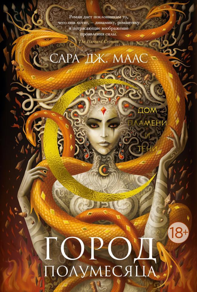 Книга Дом Пламени и Тени 
