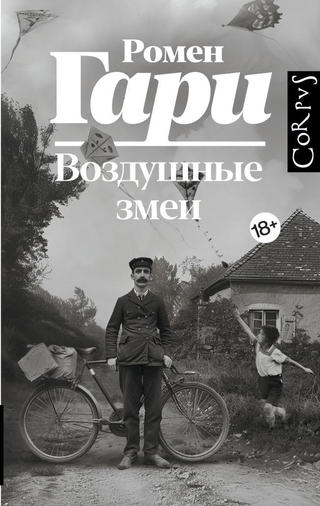 Книга Воздушные змеи 