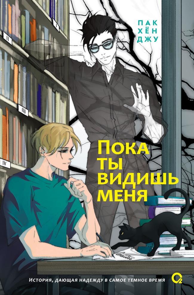 Книга Пока ты видишь меня 