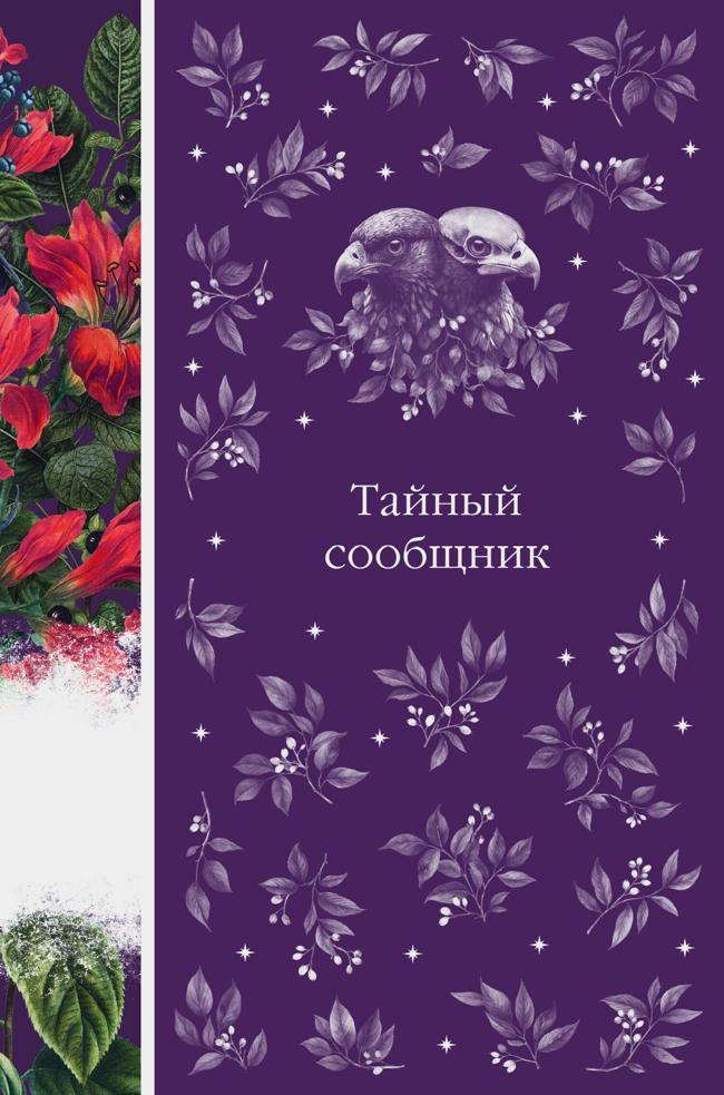 Книга Тайный сообщник 