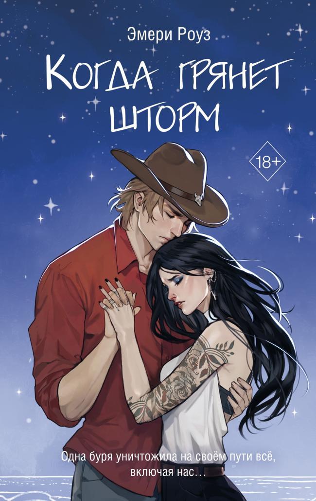 Книга Когда грянет шторм 