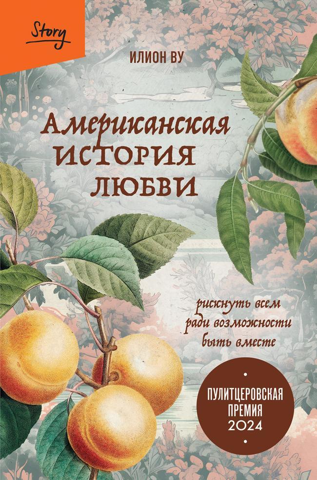 Книга Американская история любви. Рискнуть всем ради возможности быть вместе 