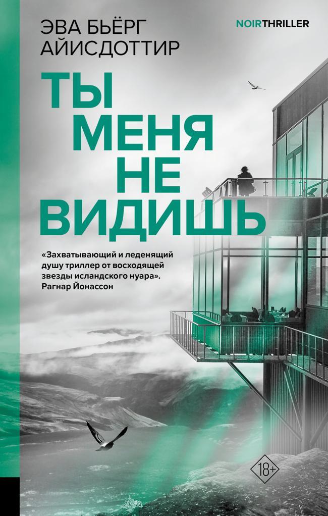 Книга Ты меня не видишь 