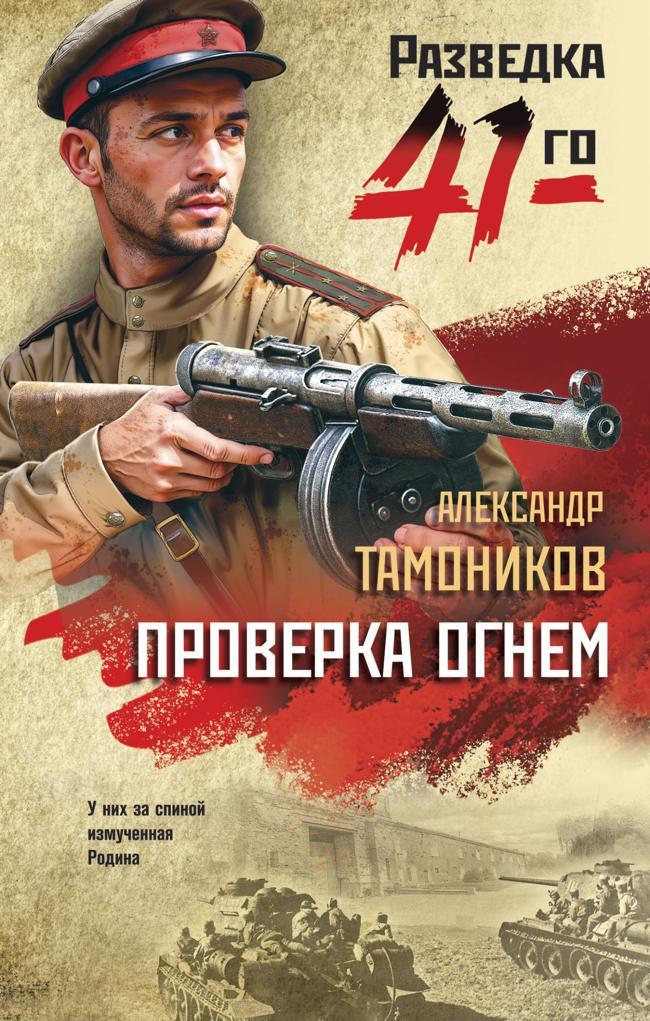 Книга Проверка огнем 